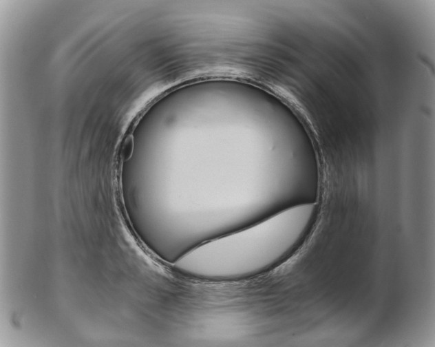 X0000103140989200808221100