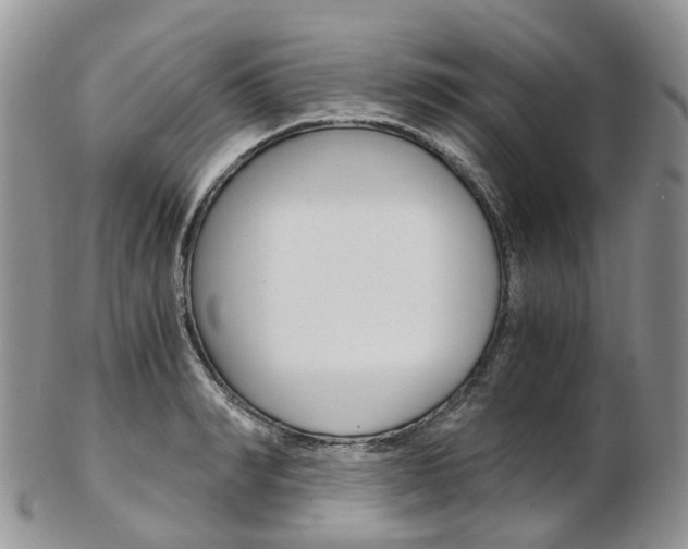 X0000103140990200808221100