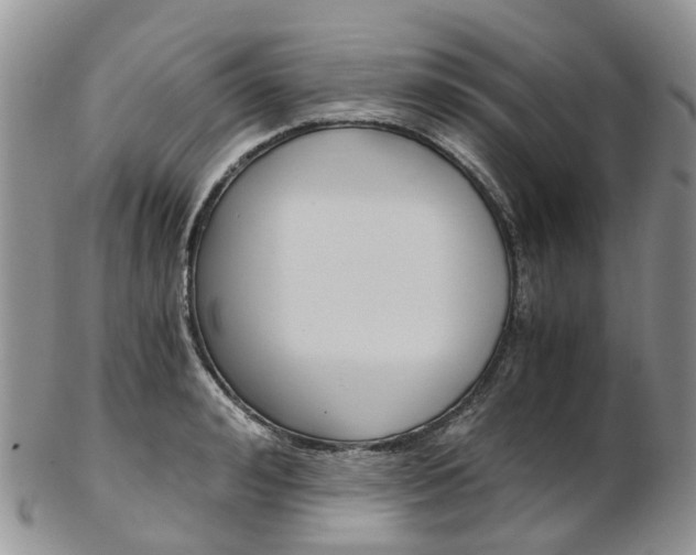 X0000103140992200808221100