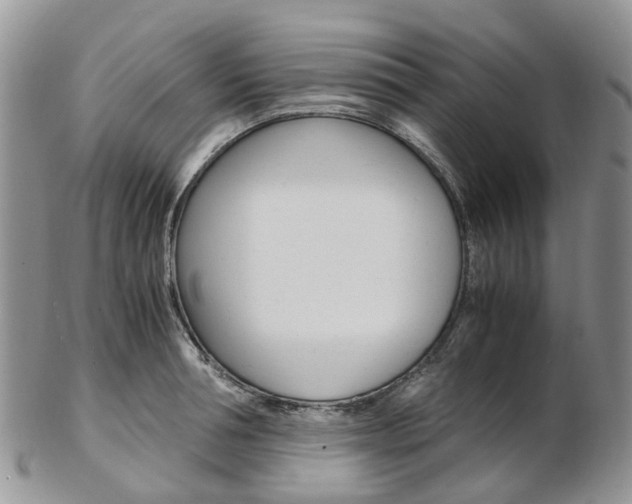 X0000103140994200808221100