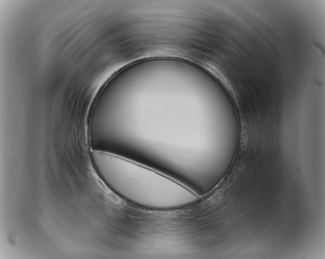 X0000103140996200808221100