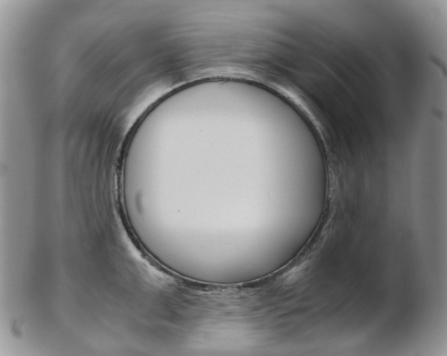 X0000103140999200808221100