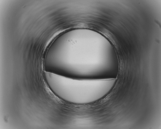 X0000103141000200808221100