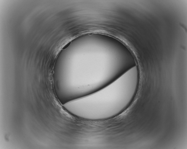 X0000103141001200808221100