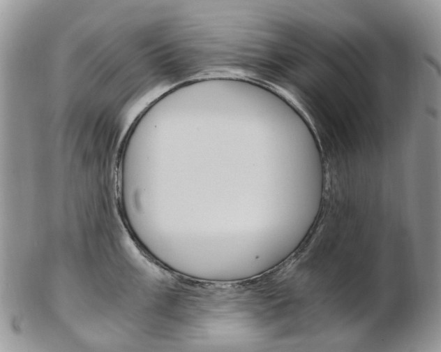X0000103141003200808221100