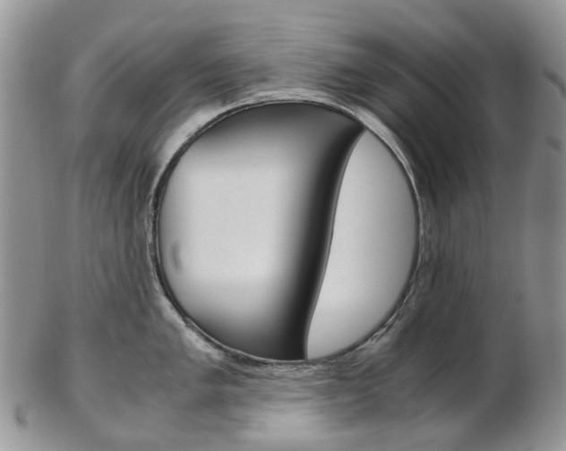 X0000103141005200808221100