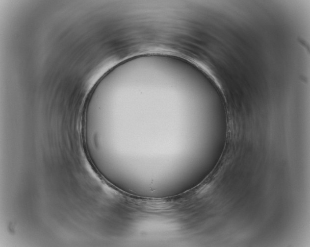 X0000103141007200808221100