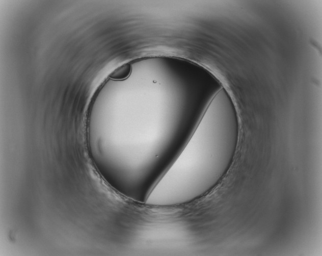 X0000103141008200808221100