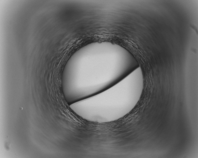 X0000103141009200808221059