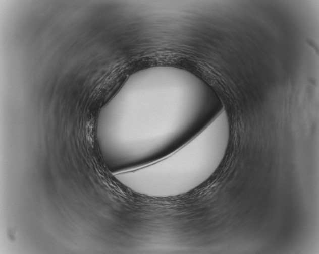 X0000103141010200808221059