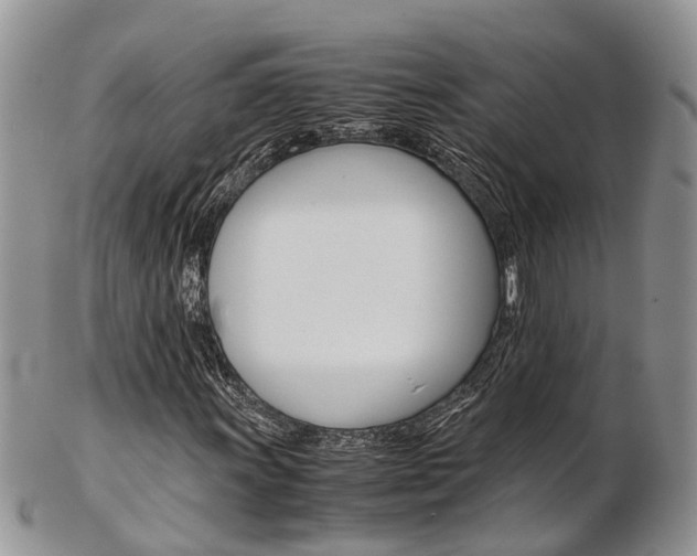 X0000103141011200808221059