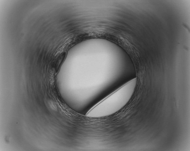 X0000103141012200808221059