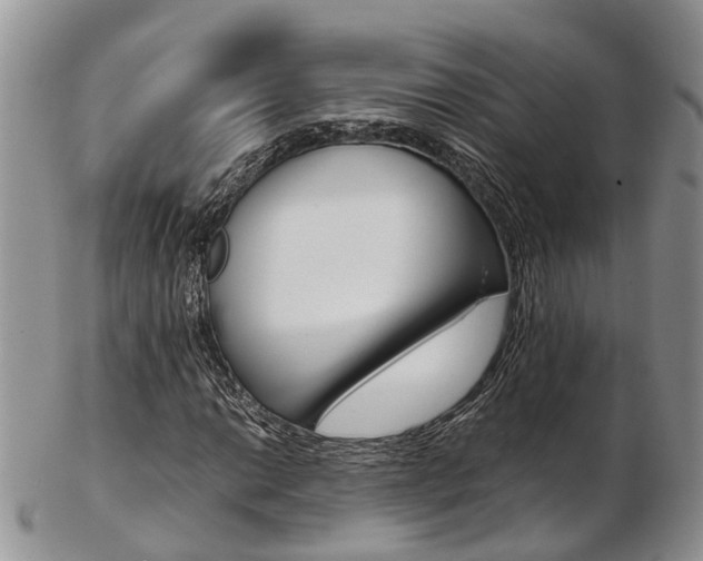 X0000103141014200808221059