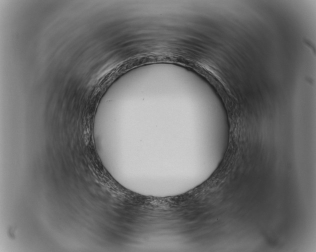 X0000103141015200808221059