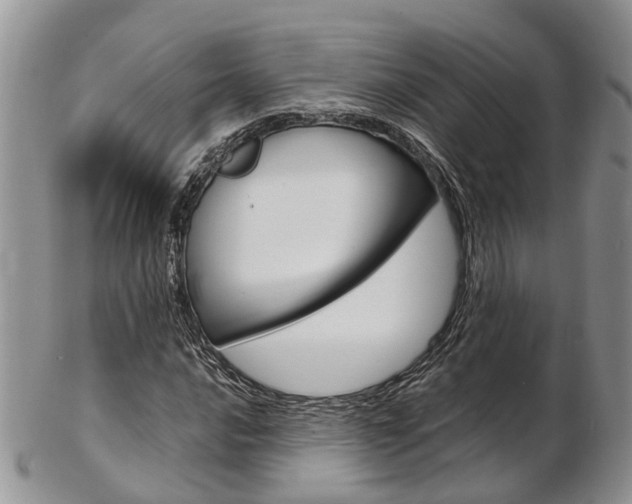 X0000103141016200808221059