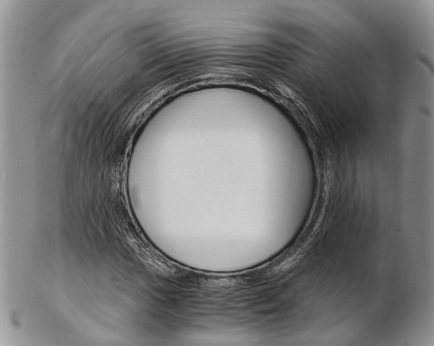 X0000103141017200808221059