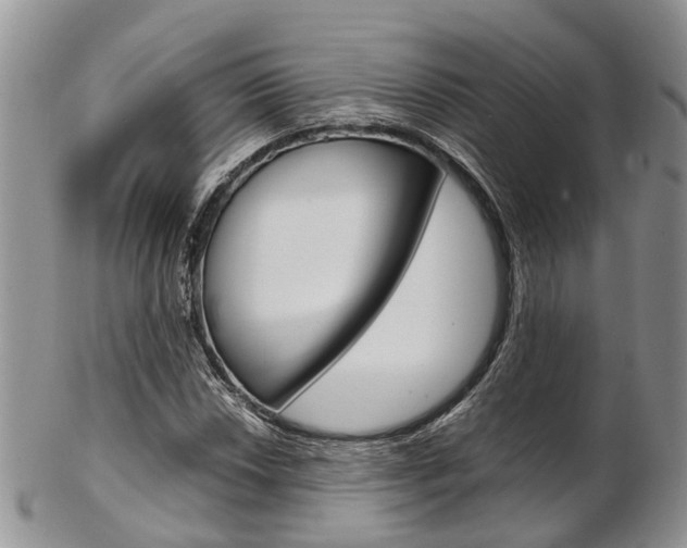 X0000103141018200808221059