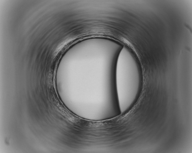 X0000103141019200808221059