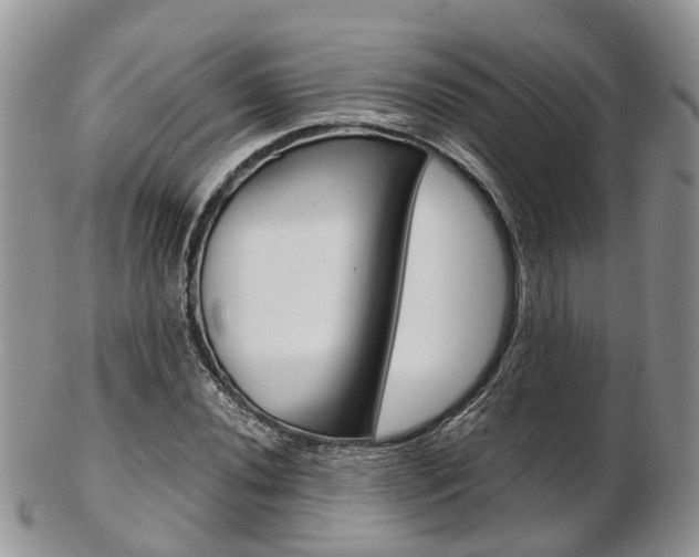 X0000103141020200808221059