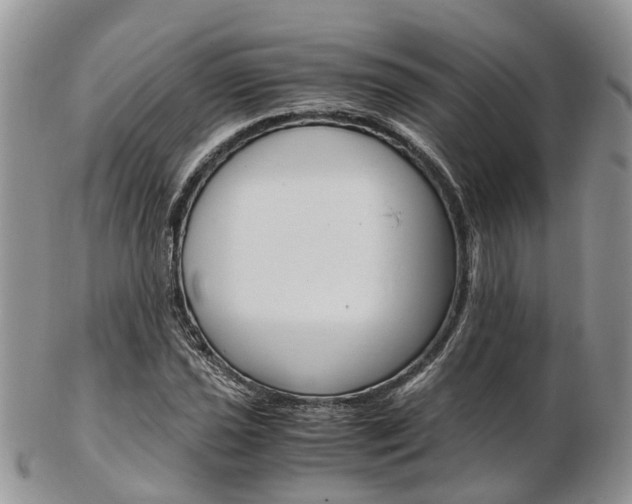 X0000103141021200808221059