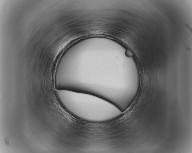 X0000103141023200808221059
