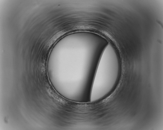 X0000103141025200808221059