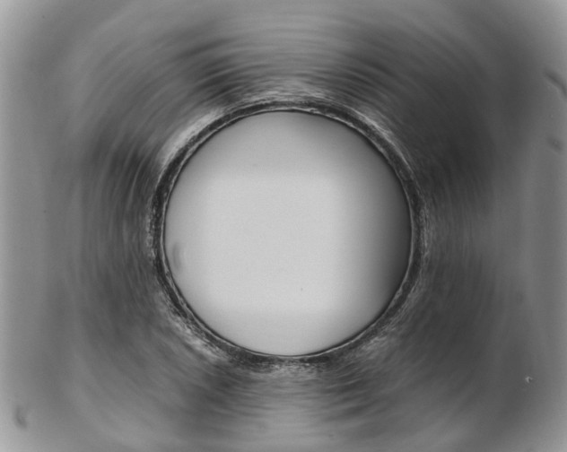 X0000103141026200808221059