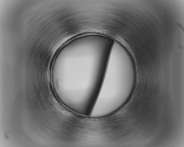 X0000103141028200808221059