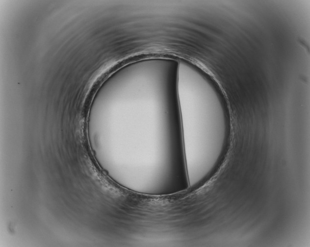 X0000103141029200808221059
