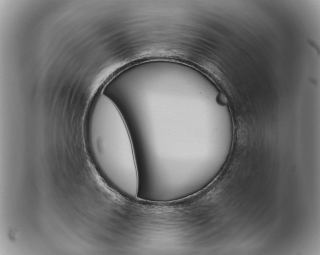 X0000103141030200808221059