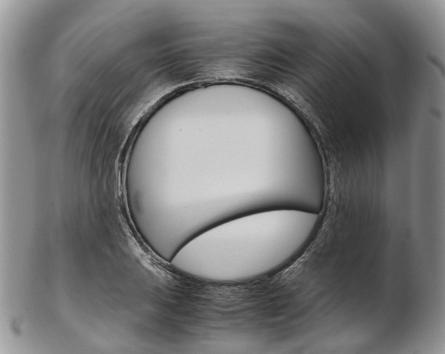 X0000103141031200808221059