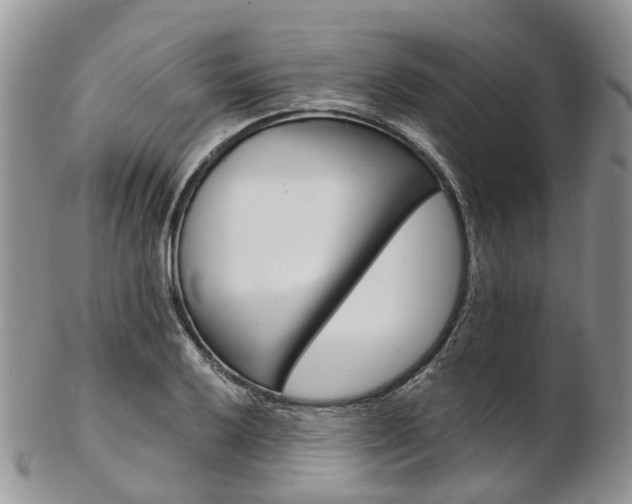 X0000103141032200808221059
