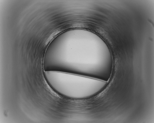 X0000103141033200808221059