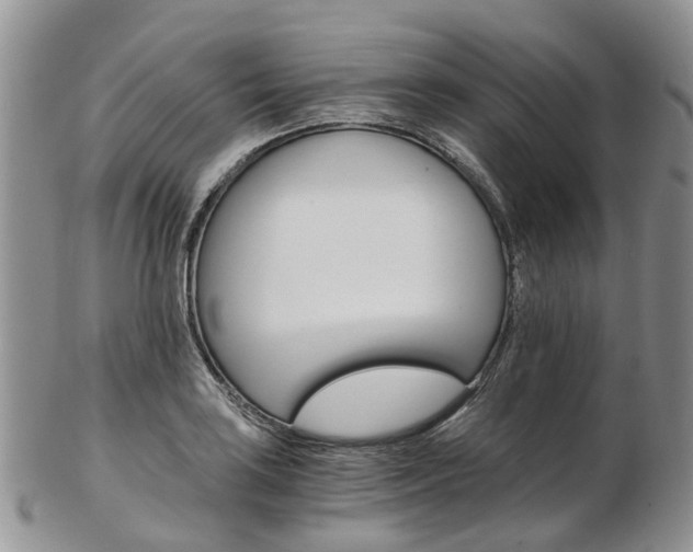 X0000103141035200808221100