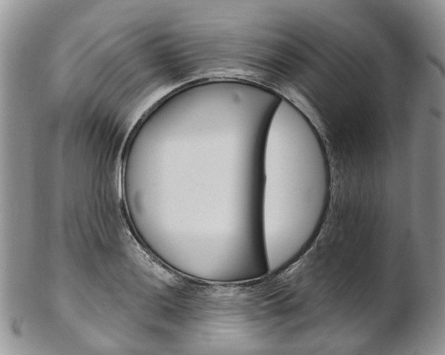 X0000103141036200808221100