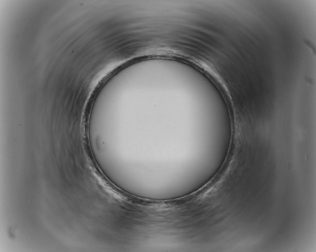 X0000103141037200808221100