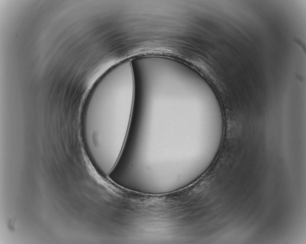 X0000103141038200808221100
