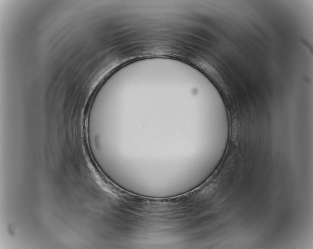 X0000103141039200808221100