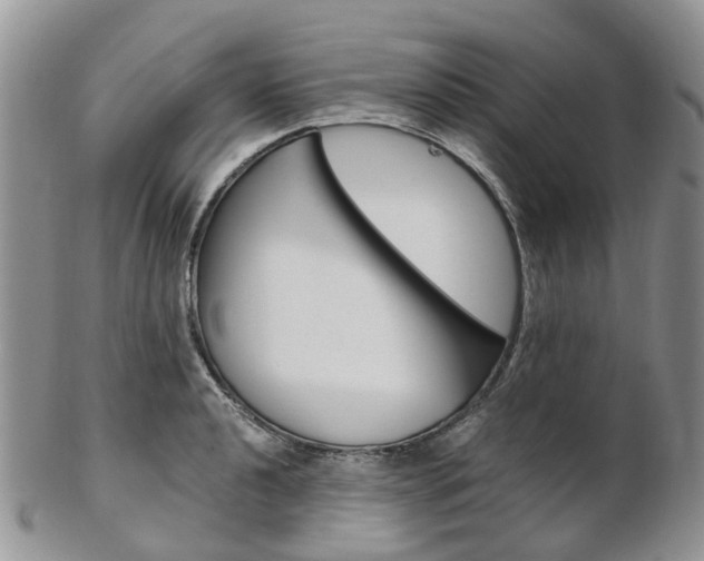 X0000103141040200808221100