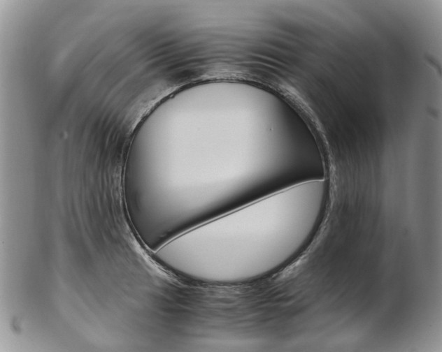 X0000103141041200808221100