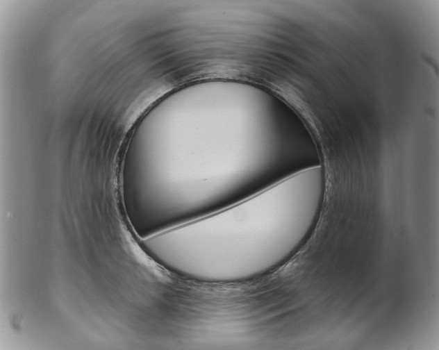 X0000103141042200808221100