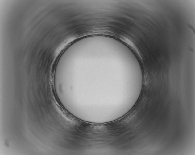 X0000103141043200808221100