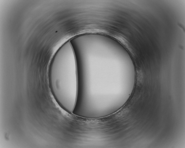 X0000103141046200808221100