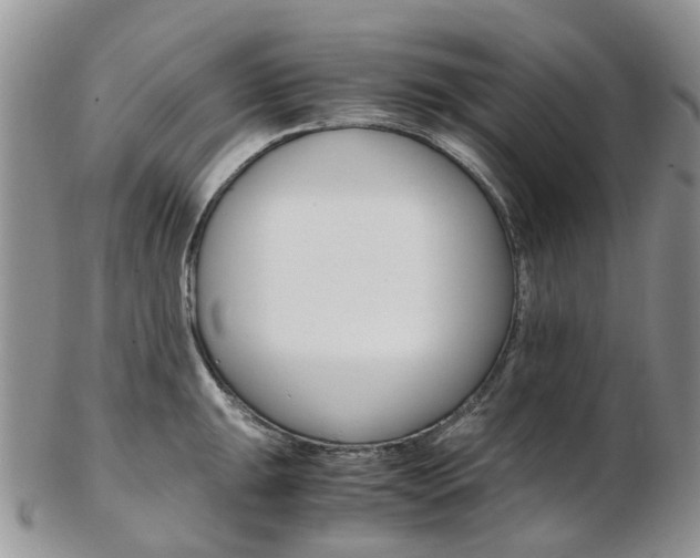 X0000103141047200808221100
