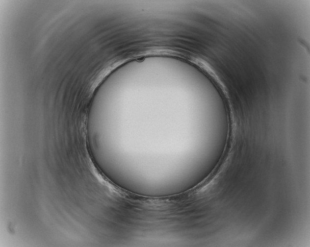 X0000103141049200808221100