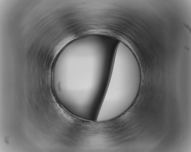 X0000103141050200808221100