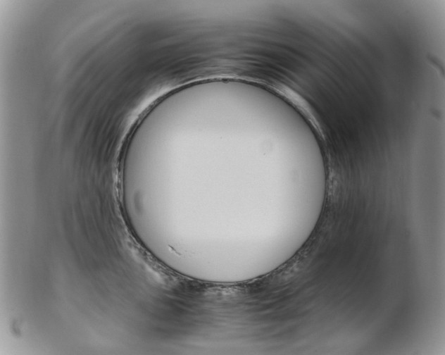 X0000103141051200808221100
