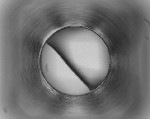 X0000103141052200808221100