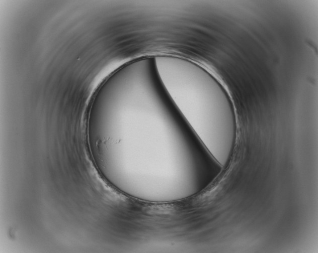 X0000103141053200808221100