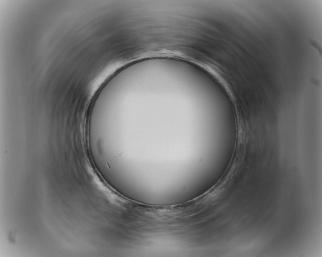 X0000103141054200808221100